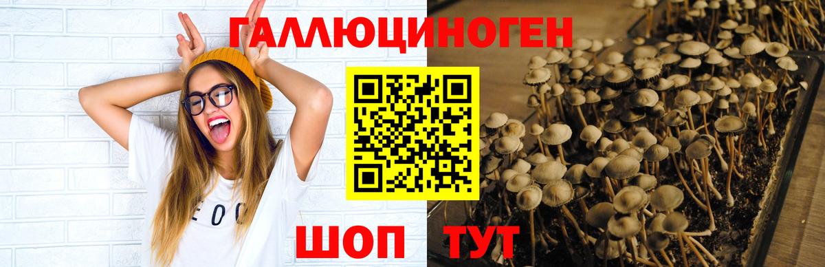 Конаково  Псилоцибиновые грибы мицелий  Вход с VPN  Галлюциногенные грибы ЛСД 
